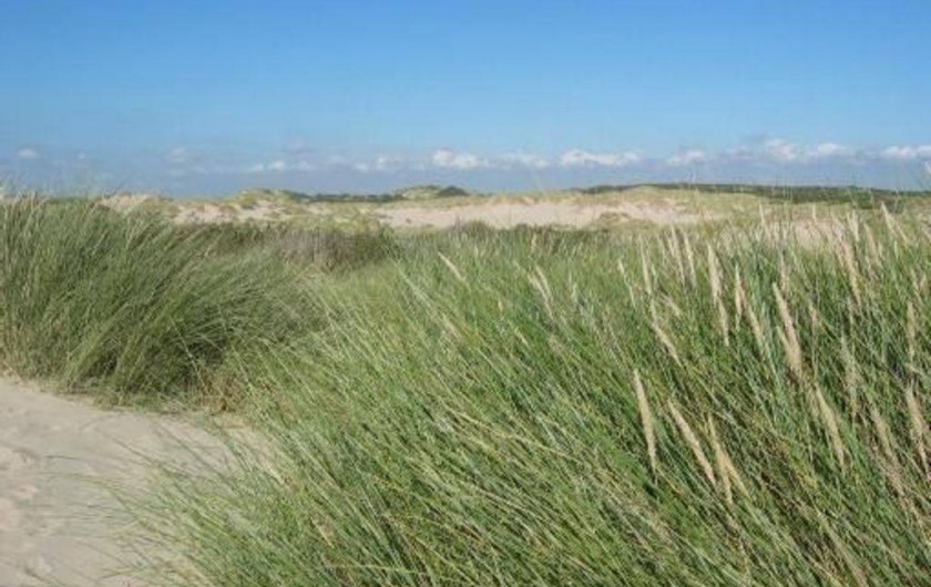 Location de vacances - Maison - Villa à Stella Plage - Dunes de Stella Plage