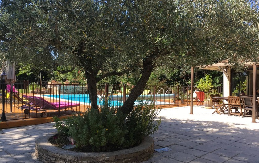 l'olivier central terrasse extérieure