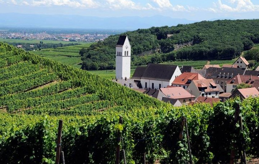 Location de vacances - Gîte à Katzenthal