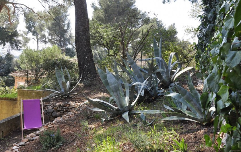 Location de vacances - Villa à Tamaris - Coin détente fraicheur au Nord
