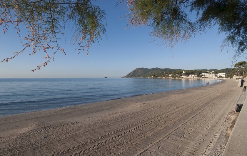 Location de vacances - Villa à Tamaris - Plage des Sablettes en hiver