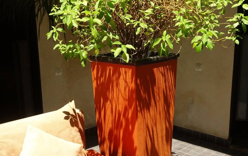 Location de vacances - Chambre d'hôtes à Marrakech - Patio