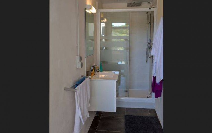 Location de vacances - Roulotte à Pernes-les-Fontaines - 2em salle d'eau : douche, lavabo, attenant à l'espace jacuzzi