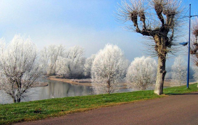 Location de vacances - Appartement à Pouilly-sur-Loire - La loire en hiver