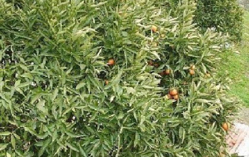 Location de vacances - Studio à Menton