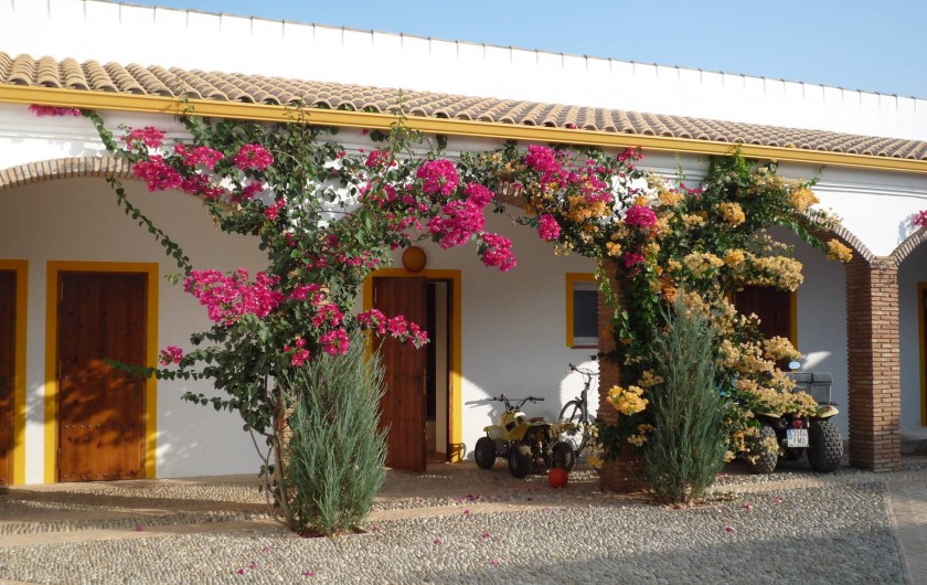Location de vacances - Villa à Villamartin - LES  6 CHAMBRES DONNENT SUR LE PATIO CENTRAL FLEURI DE BOUGAINVILLIERS