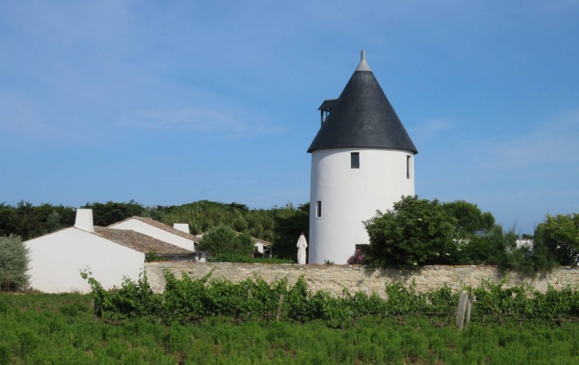 Location de vacances - Villa à Ars-en-Ré - Ancien moulin à vent  ARS EN RE