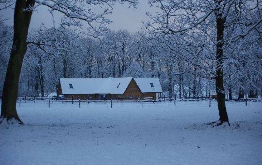 Location de vacances - Gîte à Sainte-Marguerite-sur-Fauville