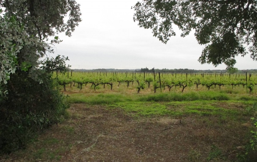 Location de vacances - Appartement à Nîmes