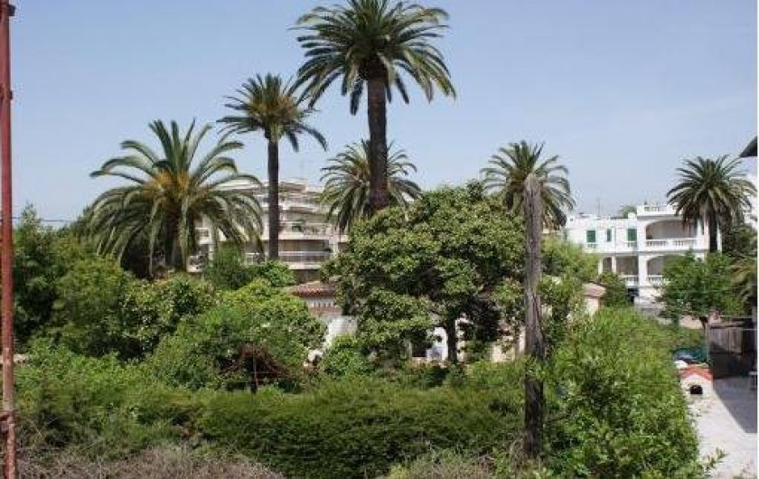 Location de vacances - Maison - Villa à Juan les Pins