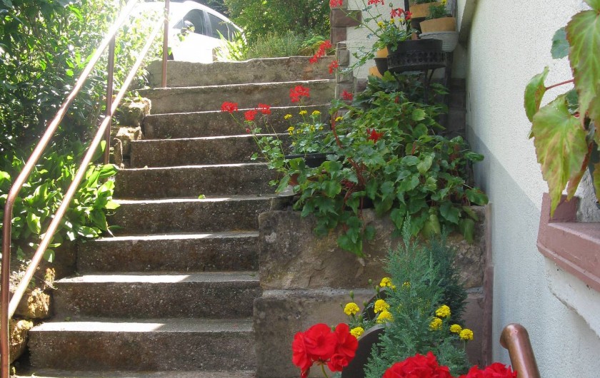 Location de vacances - Gîte à Dabo