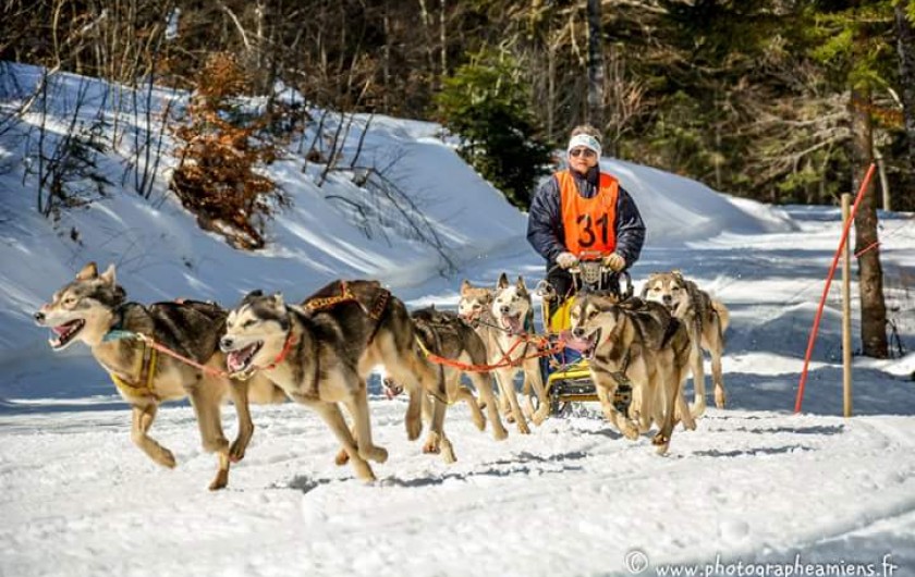 Location de vacances - Appartement à Murol