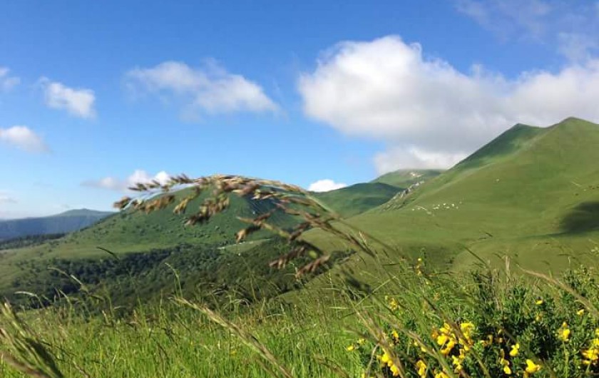 Location de vacances - Appartement à Murol
