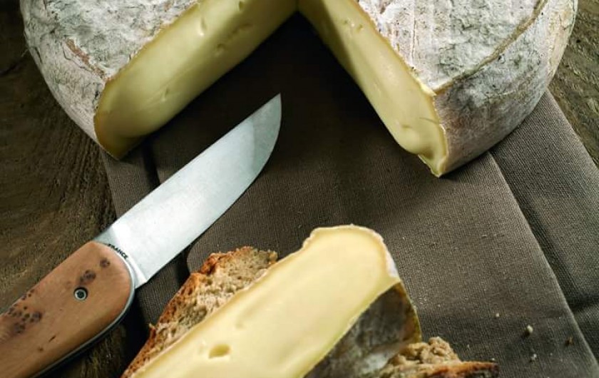 Location de vacances - Appartement à Murol