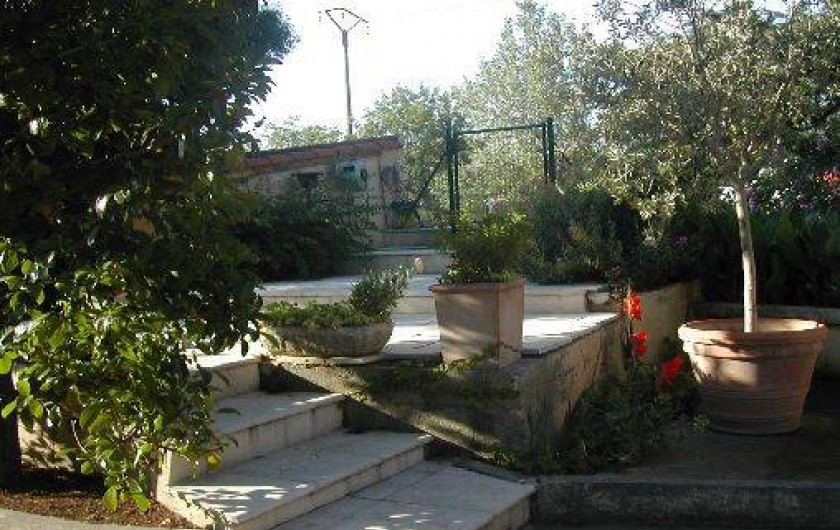 Location de vacances - Mas à Saint-Martin-de-Crau