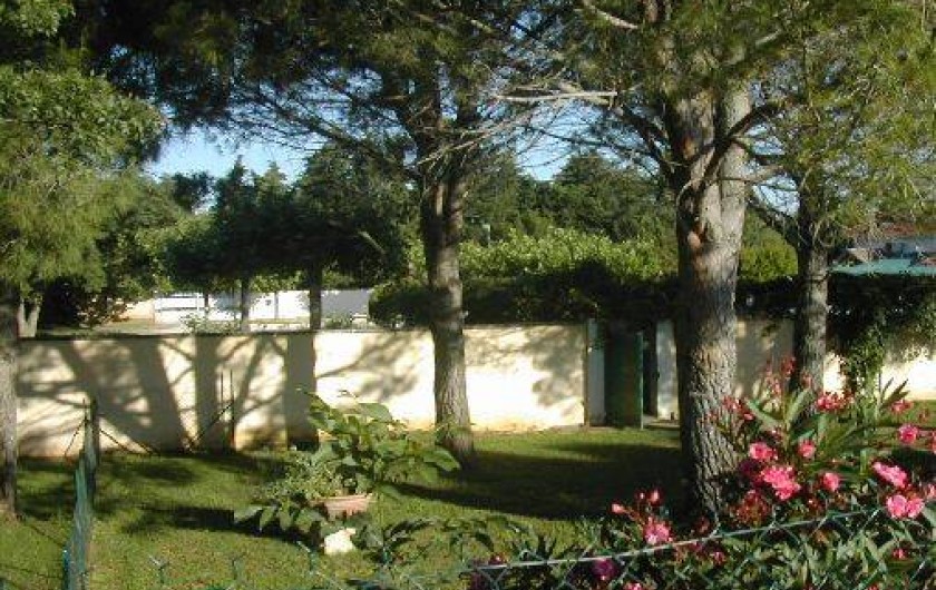 Location de vacances - Mas à Saint-Martin-de-Crau