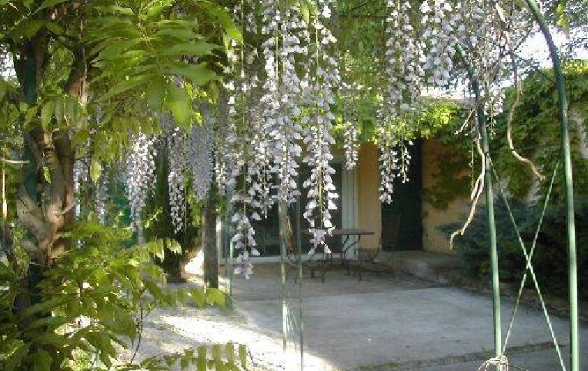 Location de vacances - Mas à Saint-Martin-de-Crau