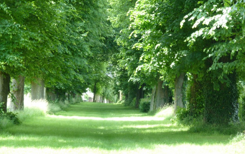 Location de vacances - Gîte à Mailly-Maillet