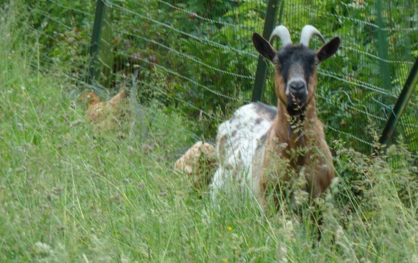 Location de vacances - Gîte à Mailly-Maillet