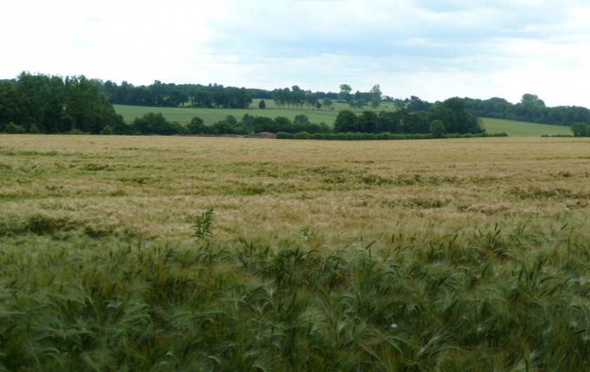 Location de vacances - Gîte à Mailly-Maillet