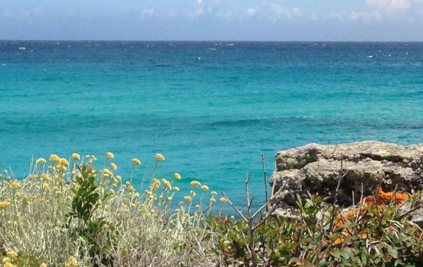 Location de vacances - Appartement à Olmeta-di-Tuda