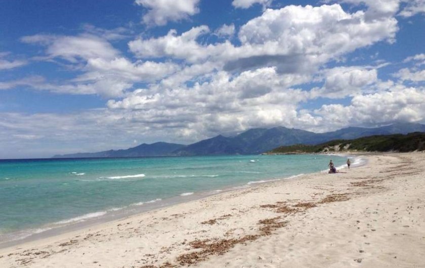 Location de vacances - Appartement à Olmeta-di-Tuda