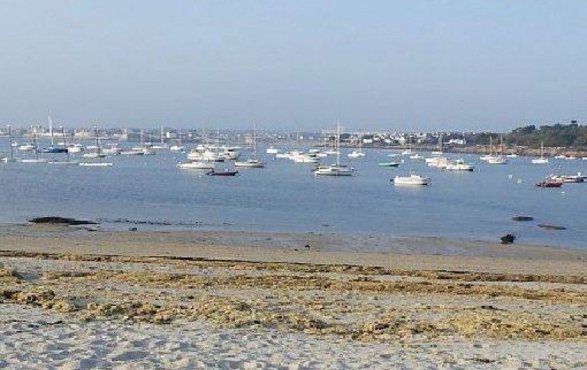 Location de vacances - Gîte à Concarneau