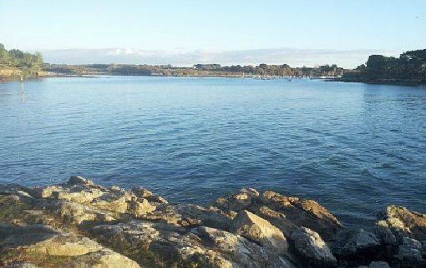 Location de vacances - Gîte à Concarneau