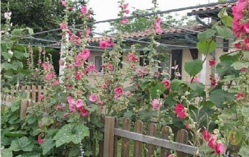 Location de vacances - Gîte à Bassillac