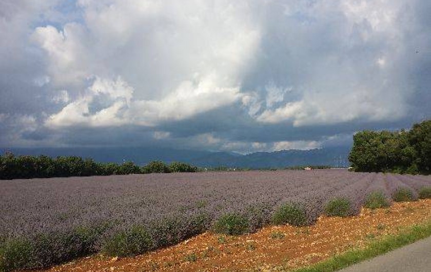 Location de vacances - Maison - Villa à Bauduen