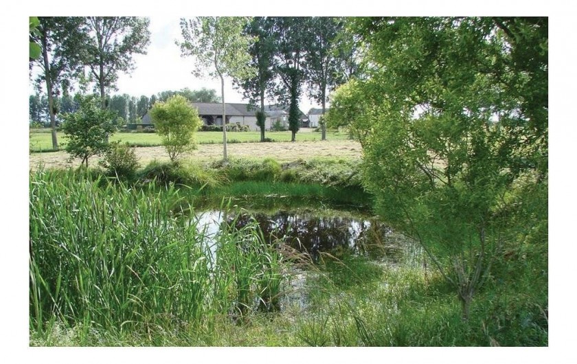 Location de vacances - Villa à Savigné-sous-le-Lude