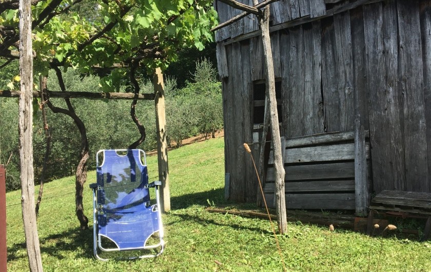 Location de vacances - Gîte à Vico Pancellorum