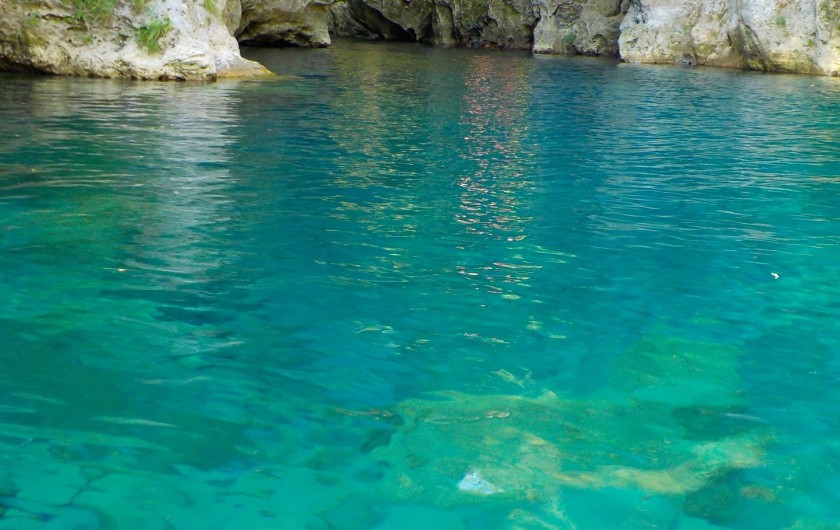 Location de vacances - Gîte à Vico Pancellorum