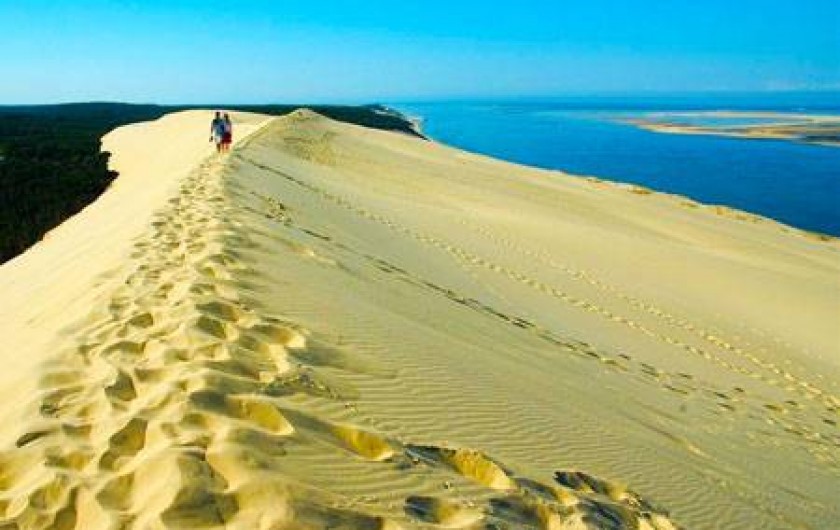 Location de vacances - Camping à Sainte-Eulalie-en-Born - dune du Pilat