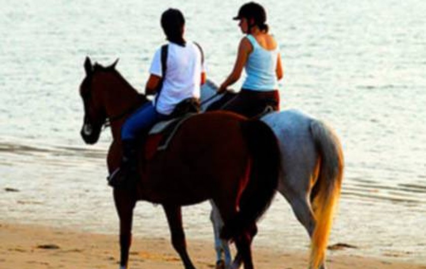 Location de vacances - Camping à Sainte-Eulalie-en-Born - promenades équestres