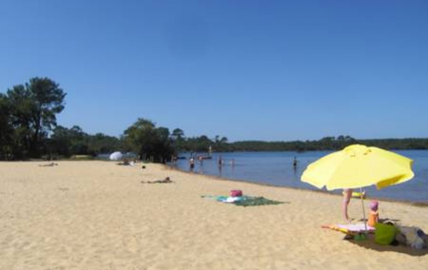 Location de vacances - Camping à Sainte-Eulalie-en-Born - plage bord de lac