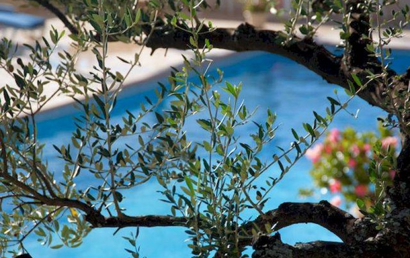 Location de vacances - Hôtel - Auberge à Tourtour