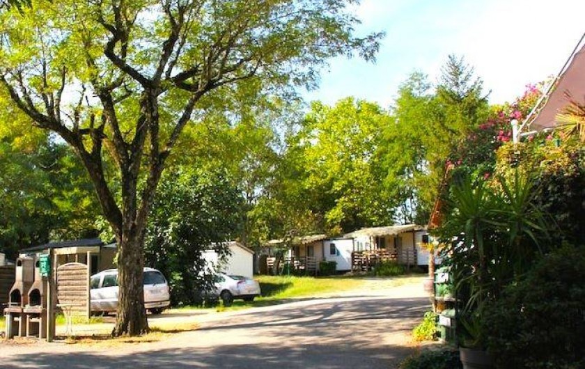 Location de vacances - Camping à Sampzon