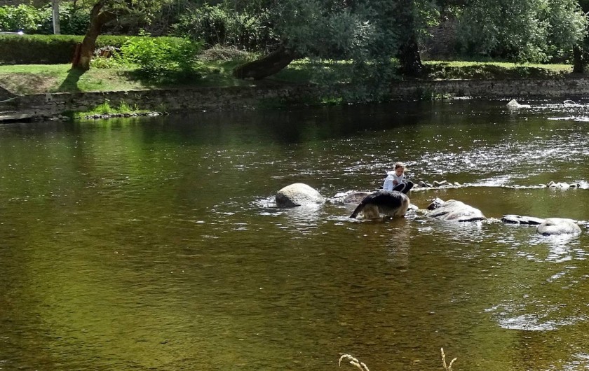 Location de vacances - Camping à Saint-Gal-sur-Sioule