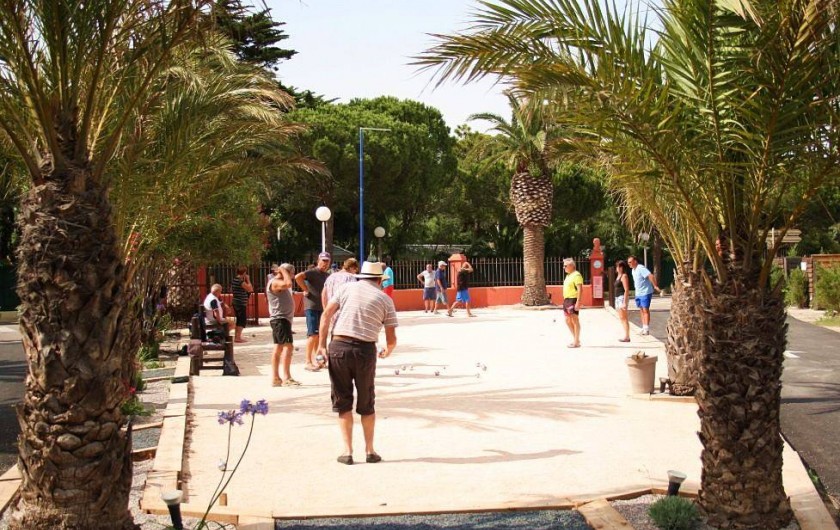 Location de vacances - Camping à Le Barcarès