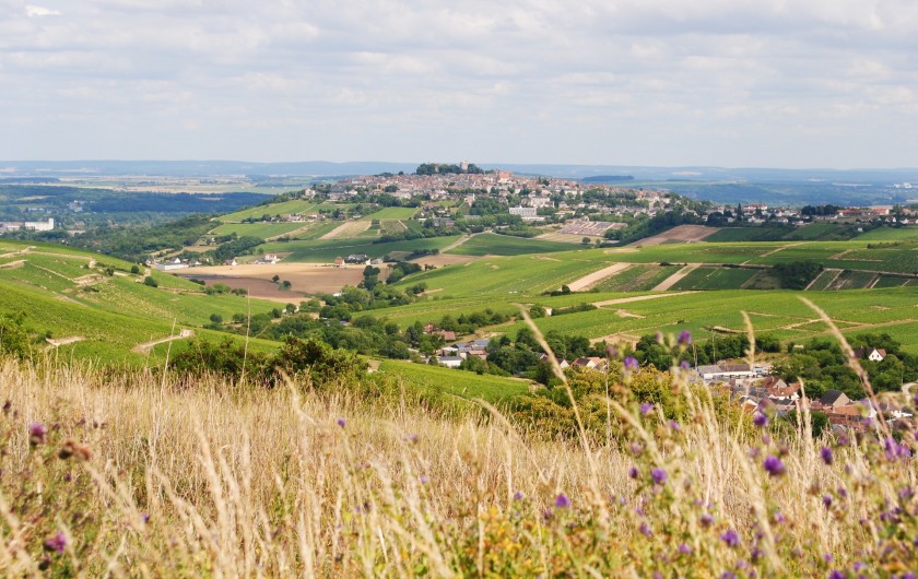 Location de vacances - Gîte à Sury-en-Vaux - Vue du Sancerrois
