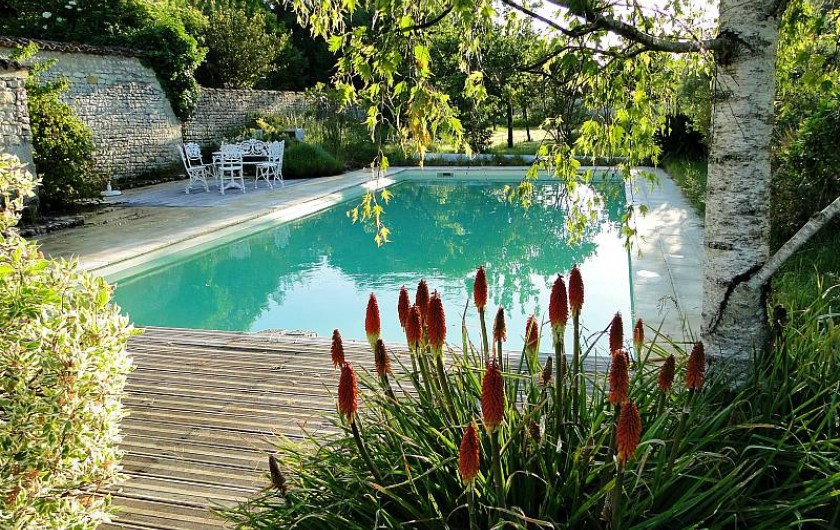 la piscine au sein du jardin paysager : un havre de paix,
