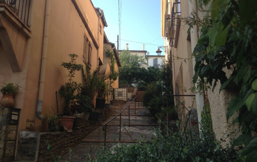 Location de vacances - Appartement à Banyuls-sur-Mer