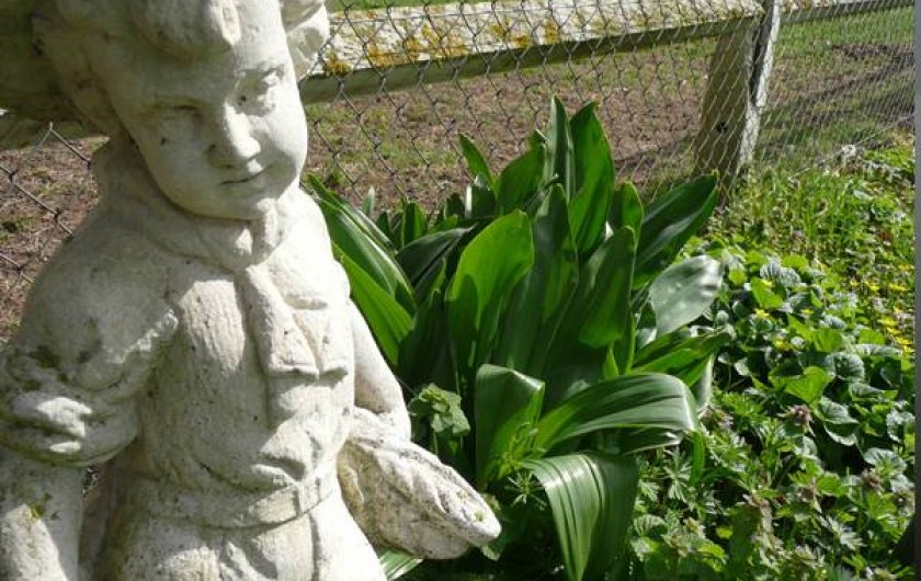 Location de vacances - Gîte à Grand-Camp