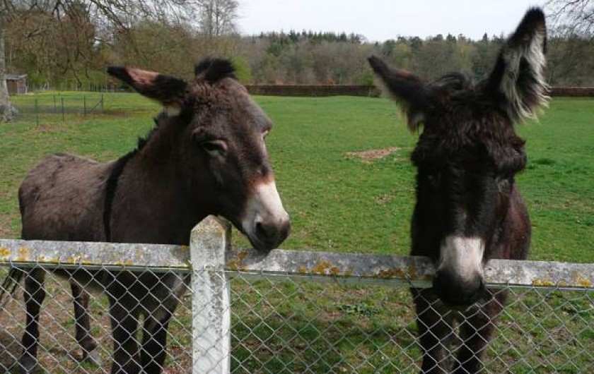Location de vacances - Gîte à Grand-Camp