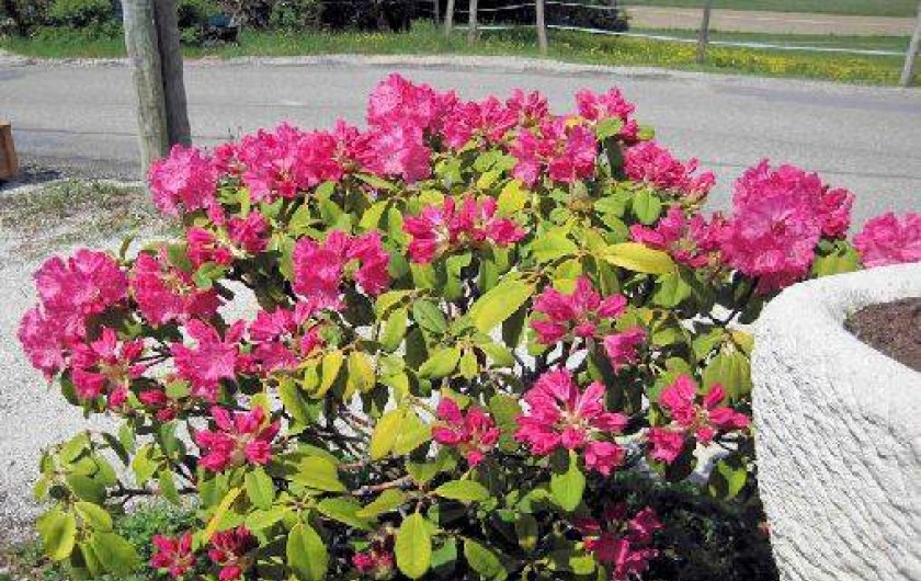 Location de vacances - Appartement à Beaumont