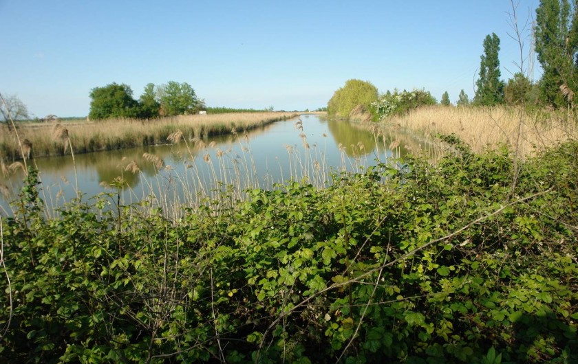 Location de vacances - Maison - Villa à Duna Verde - Les environs avec ses voie d'eaux
