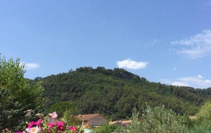 Location de vacances - Villa à Vidauban