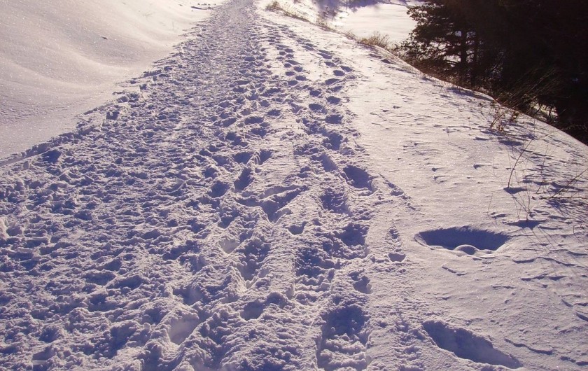 Location de vacances - Chalet à La Joue du Loup
