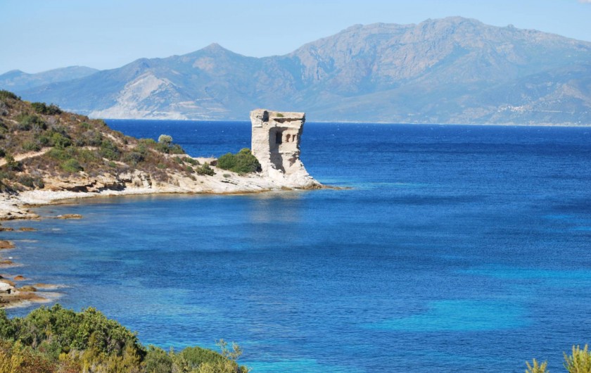 Location de vacances - Appartement à Oletta - la tour de mortella